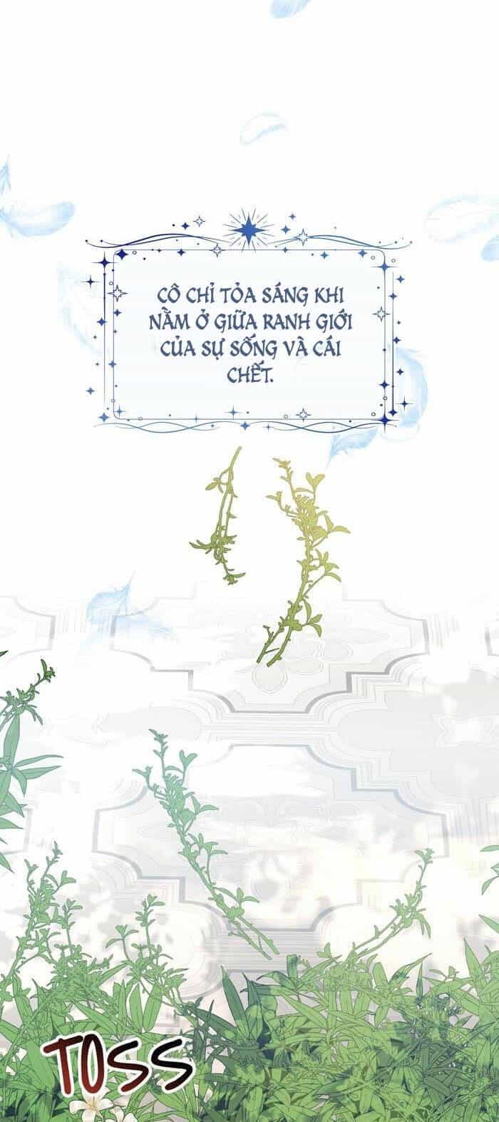 Tỏa Sáng Rực Rỡ - Chương 8.1 - ảnh 32