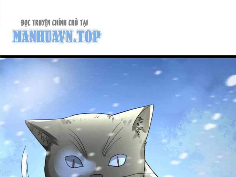 Toàn Cầu Băng Phong: Ta Chế Tạo Phòng An Toàn Tại Tận Thế - Chương 242 - ảnh 58