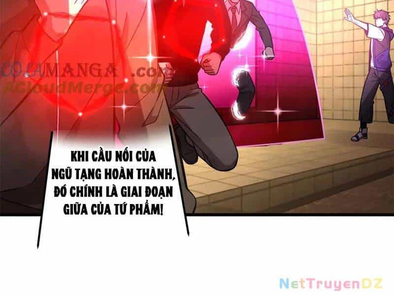 Toàn Cầu Cao Võ - Chương 290 - ảnh 124