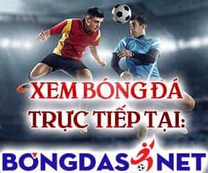 Toàn Trí Độc Giả - Chương 91 - ảnh 117