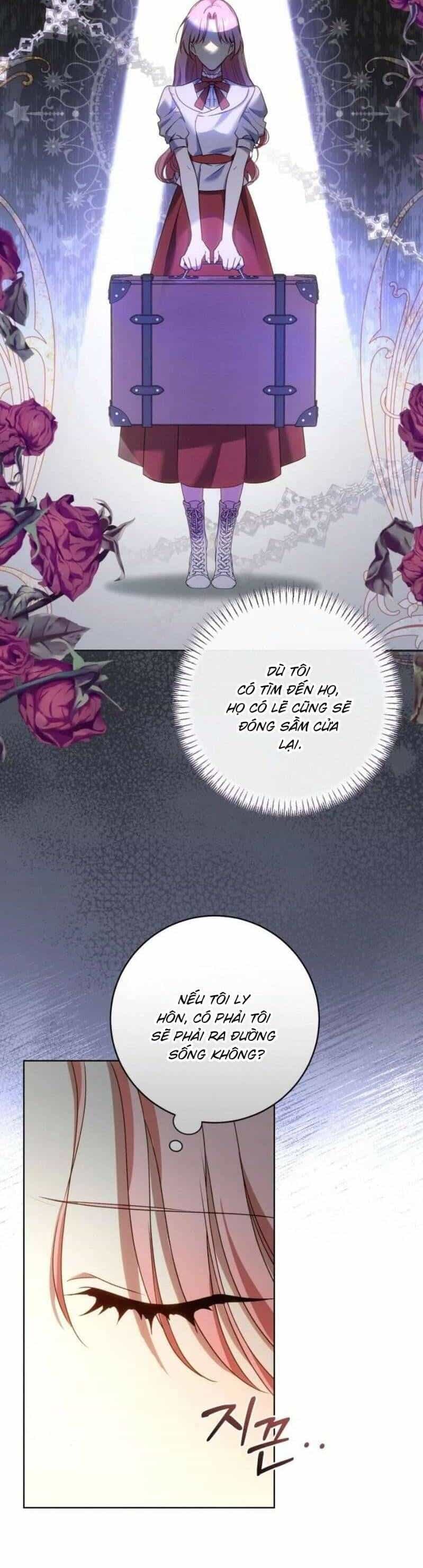 Tôi Bị Giật Chồng Những Hai Lần - Chương 2 - ảnh 44