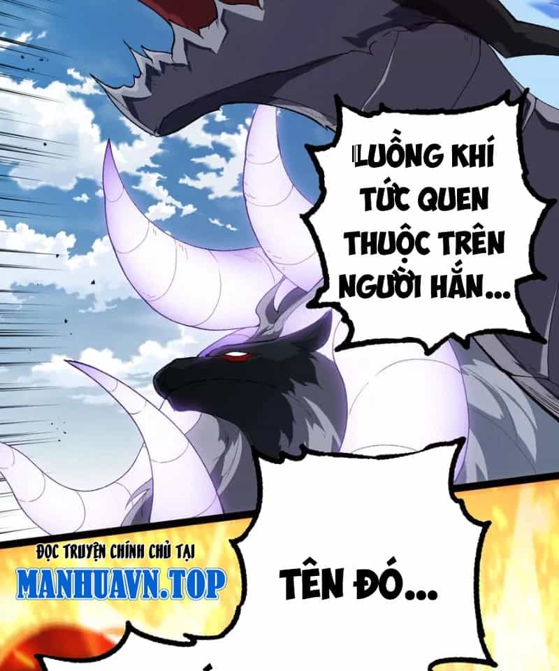 Tôi Cũng Là Đại Lão - Chương 35 - ảnh 50