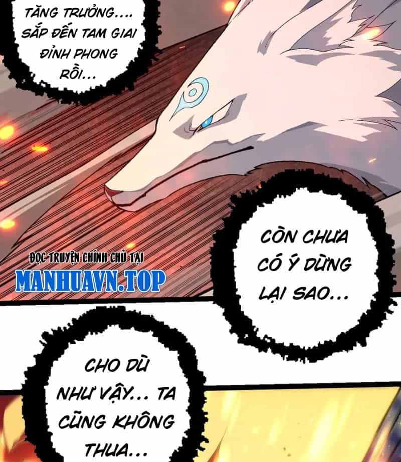 Tôi Cũng Là Đại Lão - Chương 39 - ảnh 61