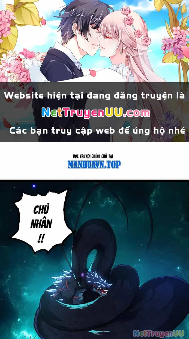 Tôi Cũng Là Đại Lão - Chương 39 - ảnh 69