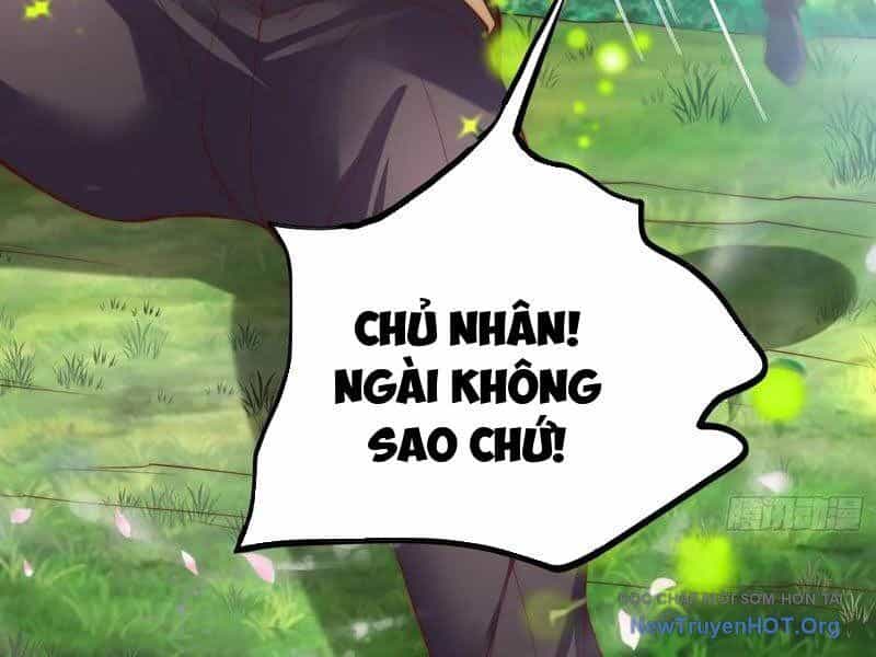 Tối Cường Tinh Thú Sư - Chương 15 - ảnh 43