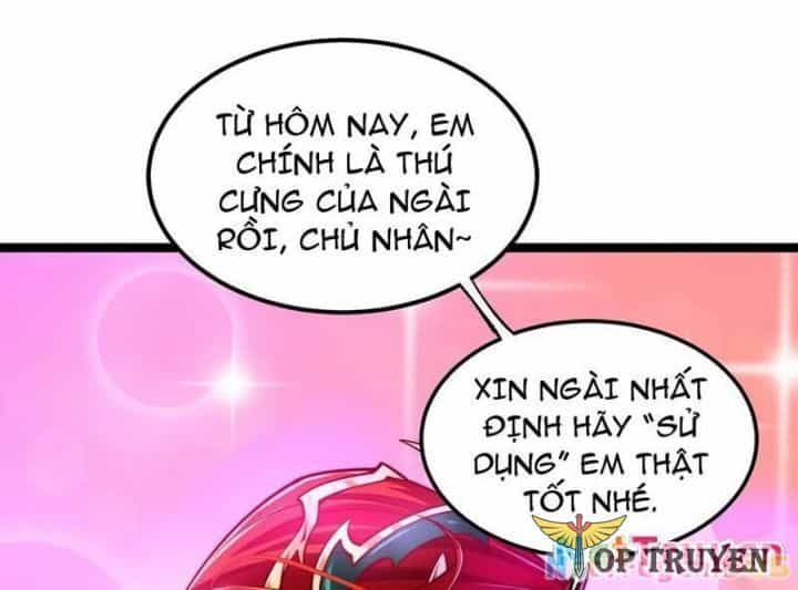 Tối Cường Tinh Thú Sư - Chương 2 - ảnh 2