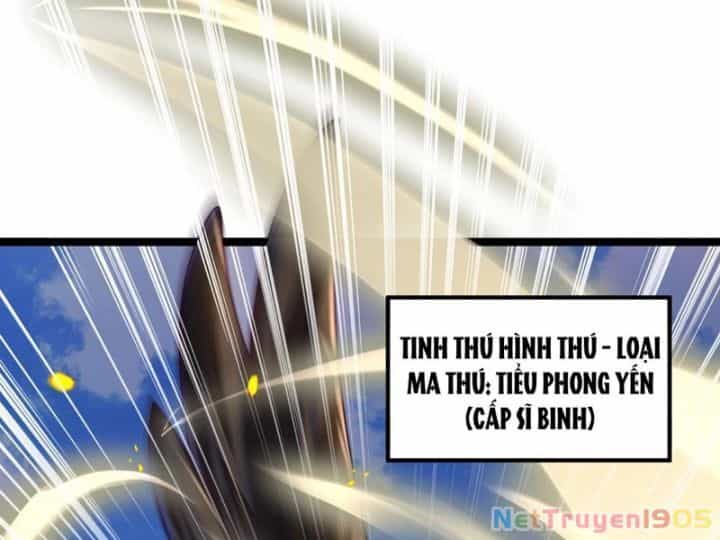 Tối Cường Tinh Thú Sư - Chương 2 - ảnh 84