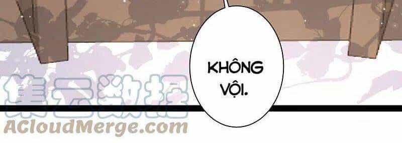 Tối Cường Vận Đào Hoa - Chương 258 - ảnh 27