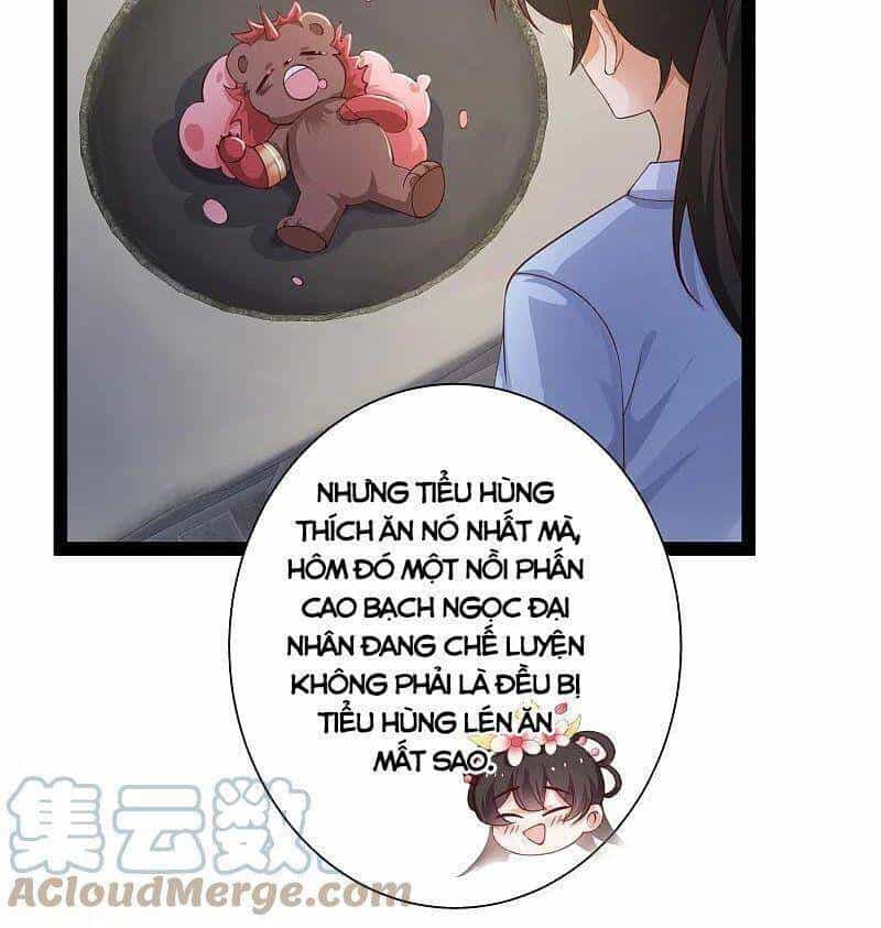 Tối Cường Vận Đào Hoa - Chương 264 - ảnh 19