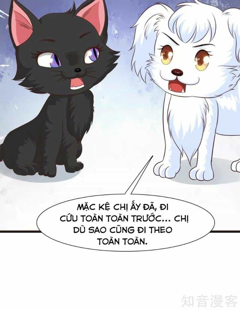 Tối Cường Vận Đào Hoa - Chương 80 - ảnh 38