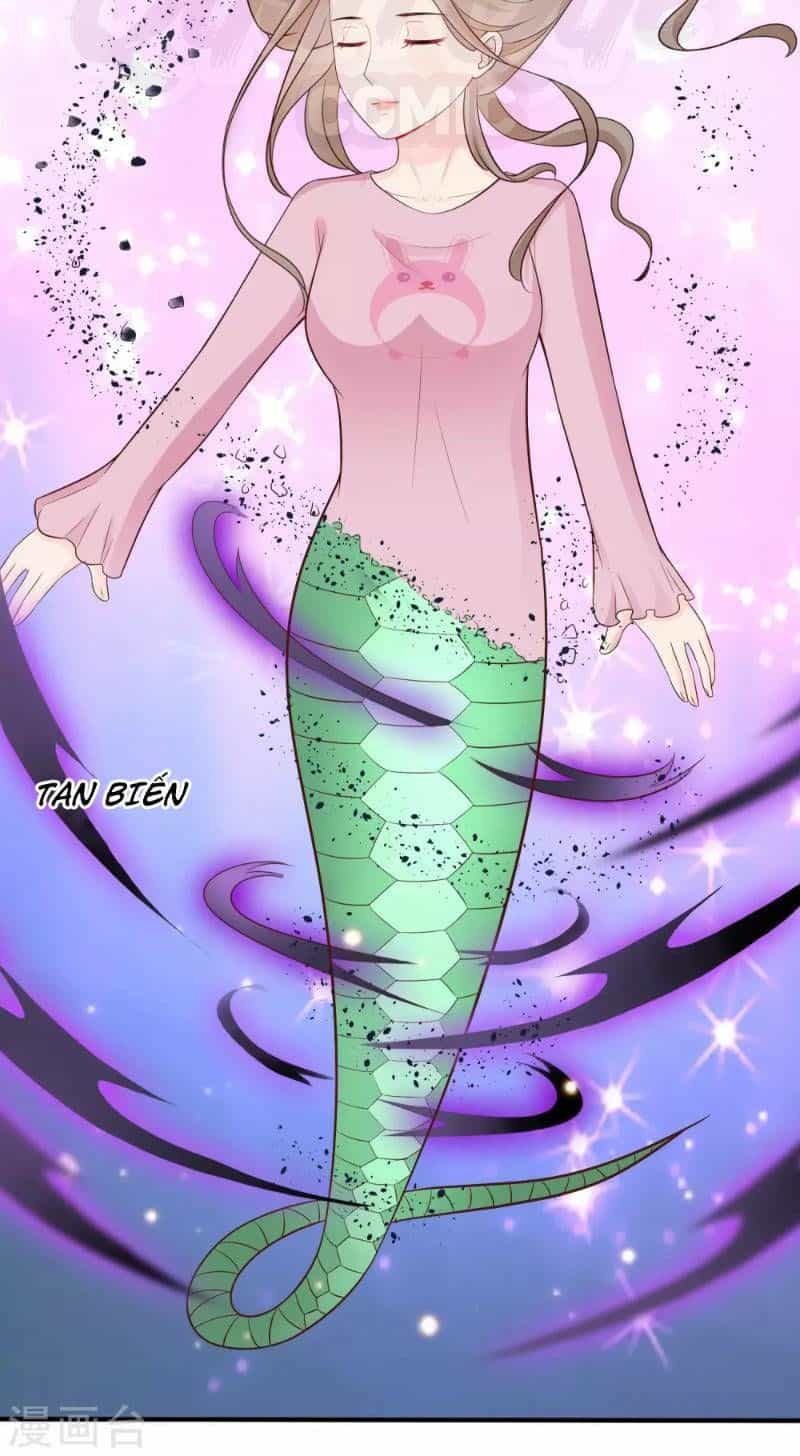 Tối Cường Vận Đào Hoa - Chương 81 - ảnh 20