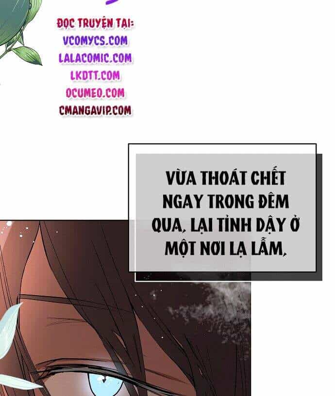 Tôi Không Cố Ý Quyến Rũ Nam Chính Đâu! - Chương 21 - ảnh 165