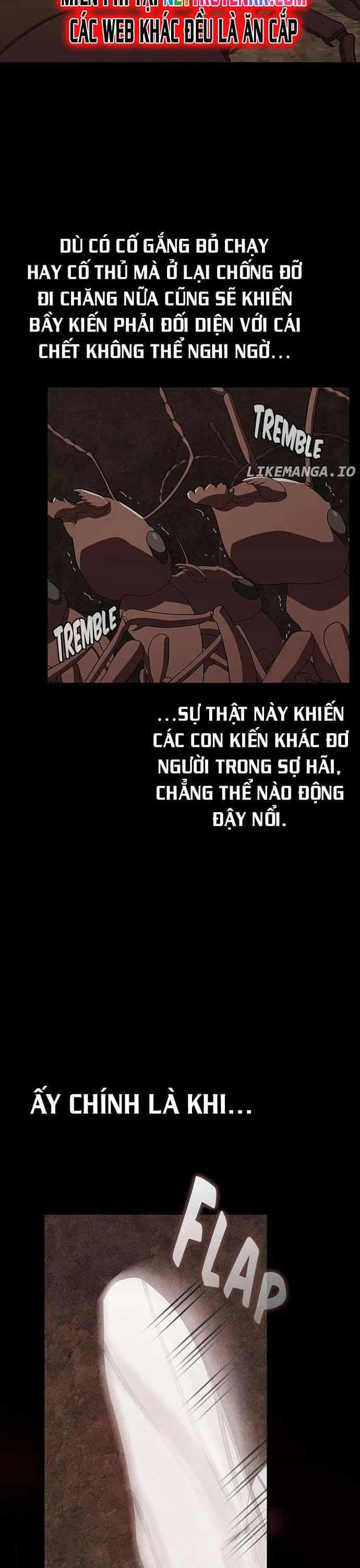 Tôi Là Người Chơi Leo Tháp Một Mình - Chương 210 - ảnh 24