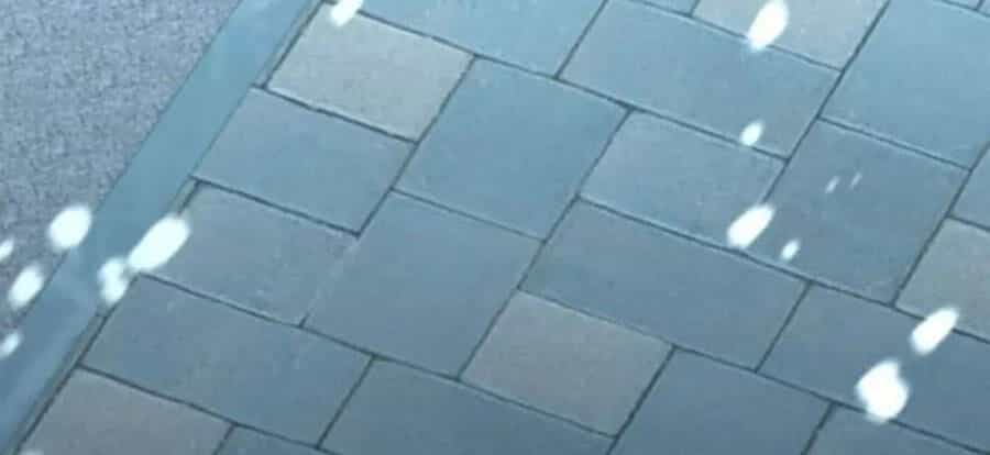 Tôi Là Thợ Săn Có Sức Mạnh Của 99 Vạn Tiền Kiếp - Chương 89 - ảnh 227