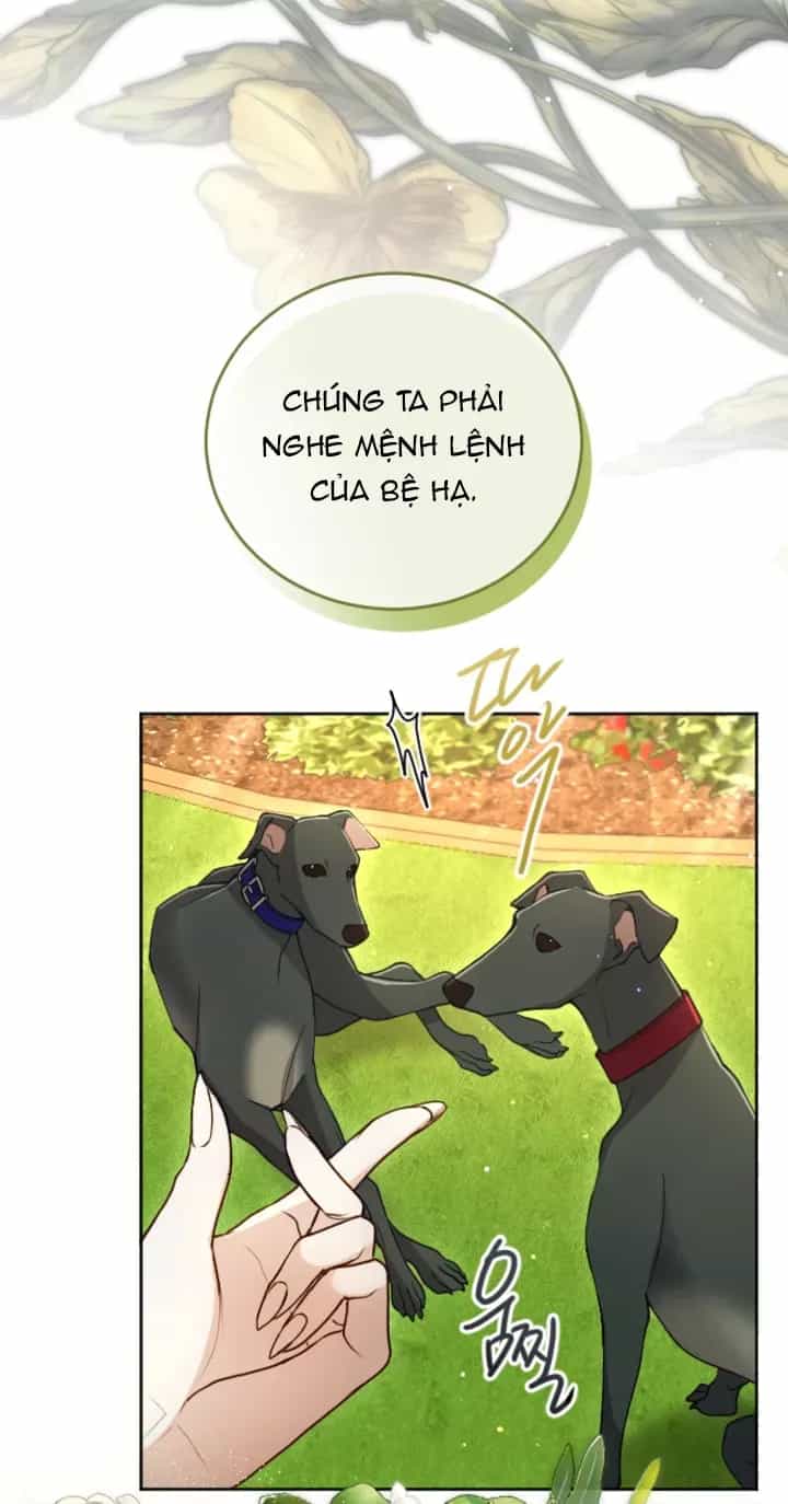 Tôi Sẽ Bị Trừ Khử Cùng Hoàng Đế - Chương 121.1 - ảnh 31
