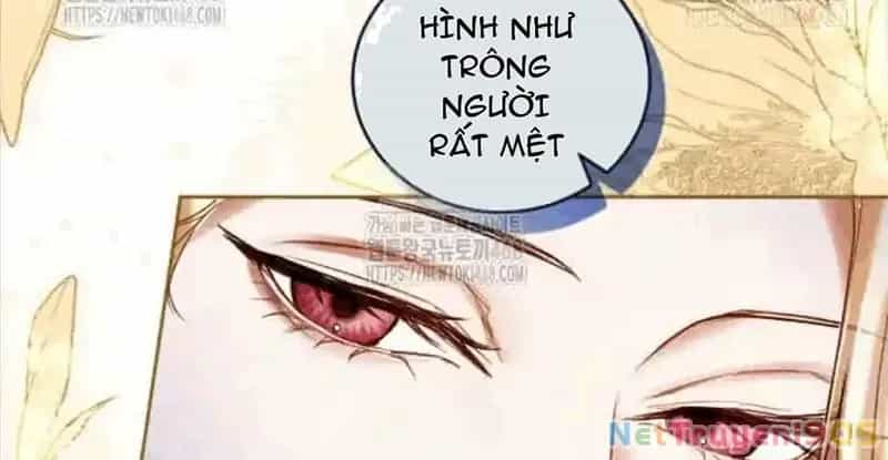 Tôi Sẽ Bị Trừ Khử Cùng Hoàng Đế - Chương 135 - ảnh 45