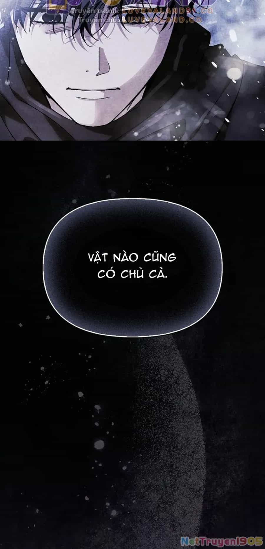 Tôi Thuần Hóa Chó Điên Của Chồng Cũ - Chương 91 - ảnh 13