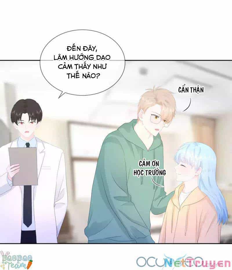Tôi Và Lịch Sử Yêu Đương Của Tôi - Chương 22 - ảnh 11