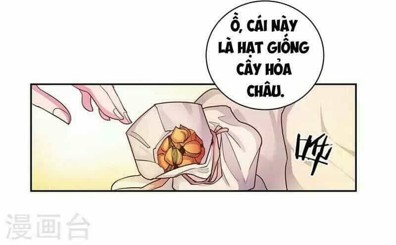 Tôn Thượng - Chương 12 - ảnh 19