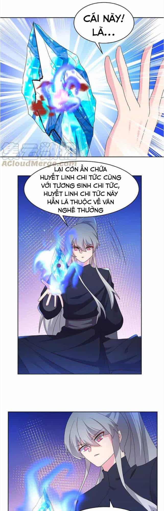 Tôn Thượng - Chương 235 - ảnh 17