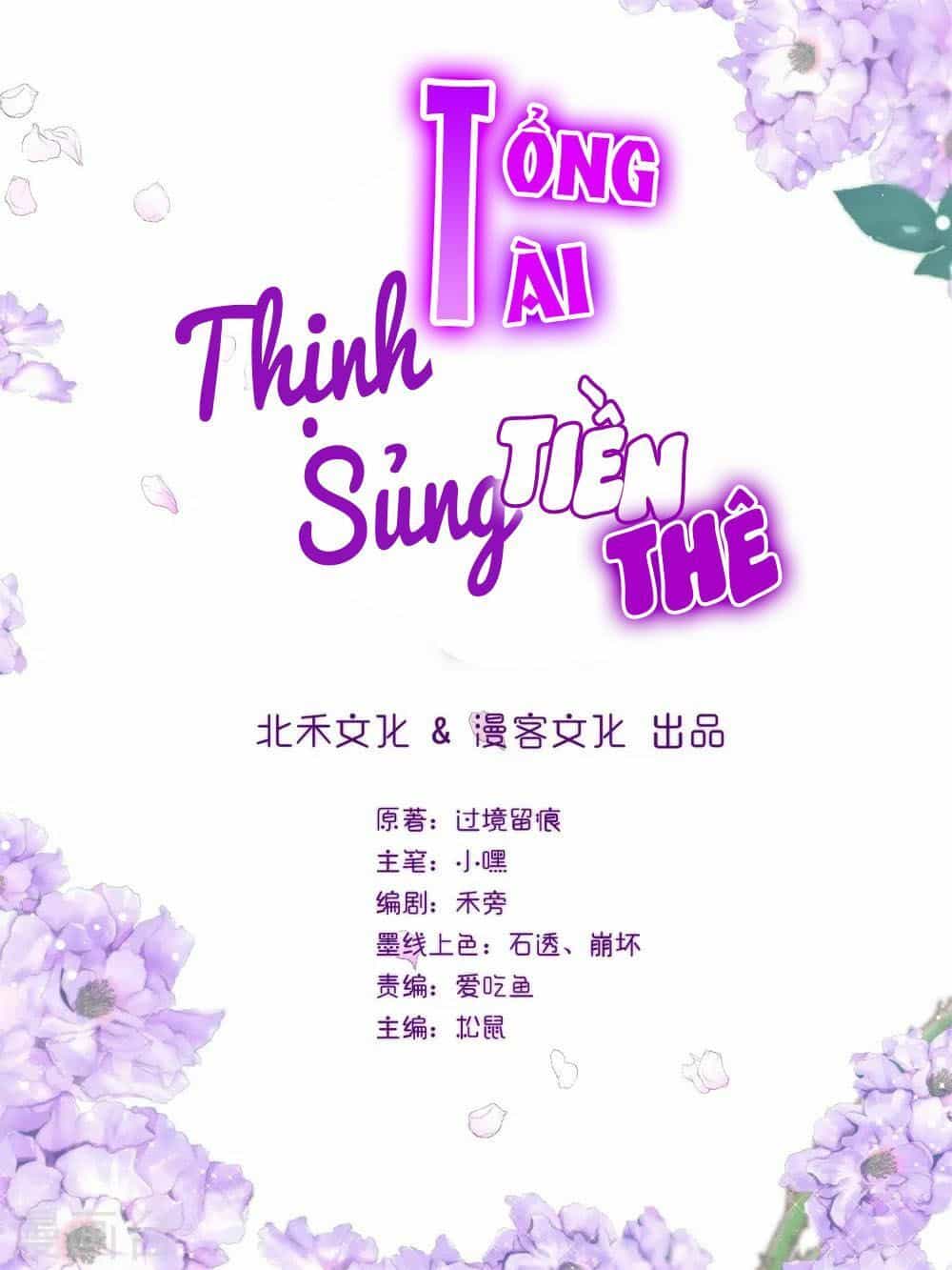 Tổng Tài Thịnh Sủng Tiền Thê - Chương 2 - ảnh 3