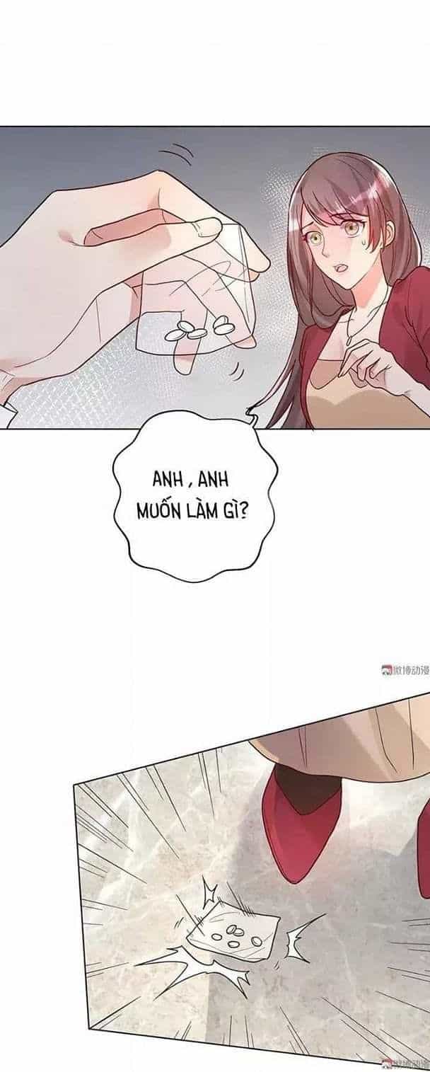 Tổng Tài Truy Thê: Phu Nhân Đừng Hòng Trốn - Chương 17 - ảnh 13