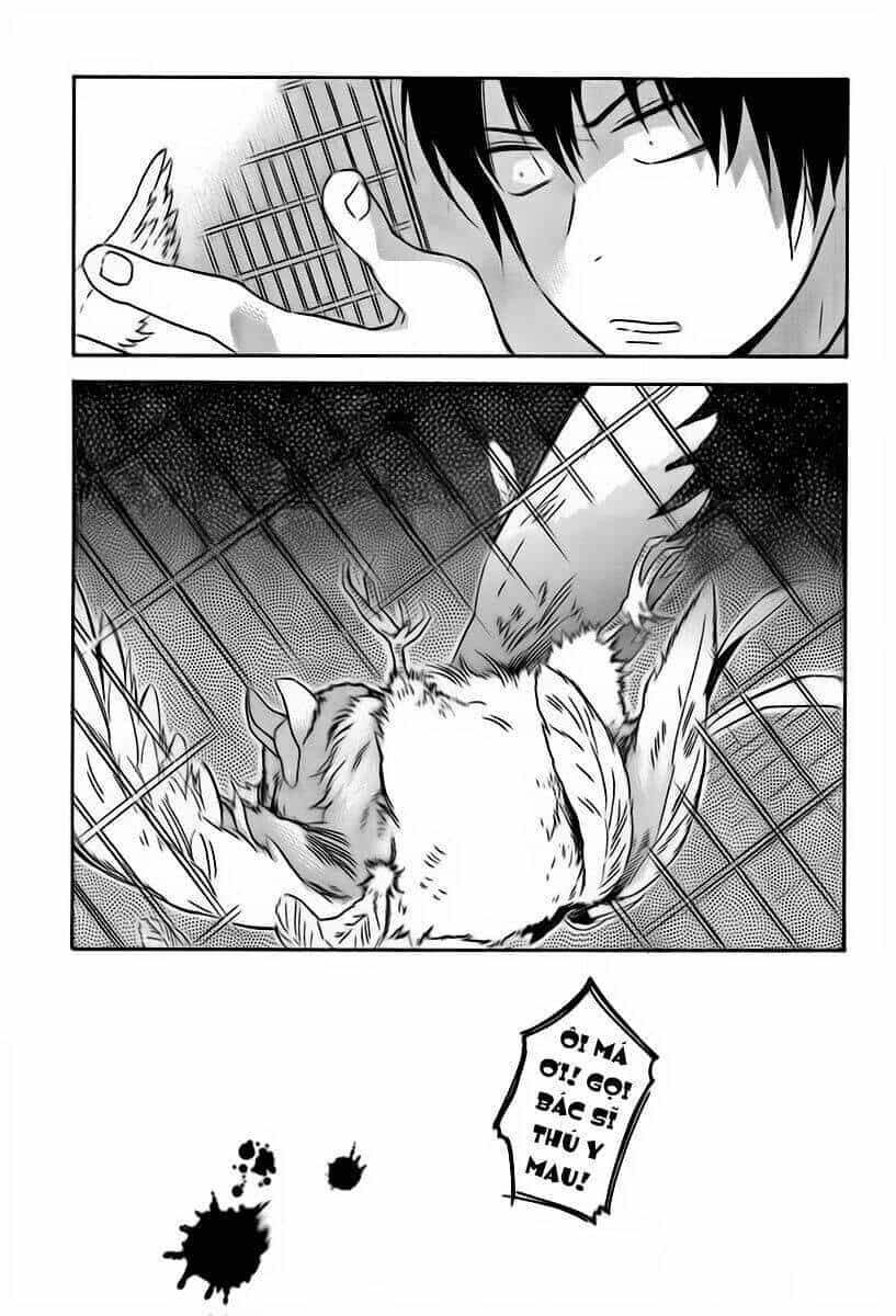 Toradora! - Chương 24 - ảnh 16