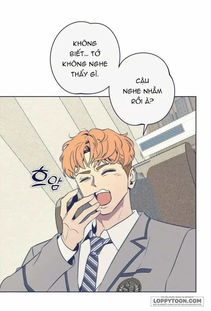Trắc Nghiệm 4 Lựa Chọn - Chương 12 - ảnh 21