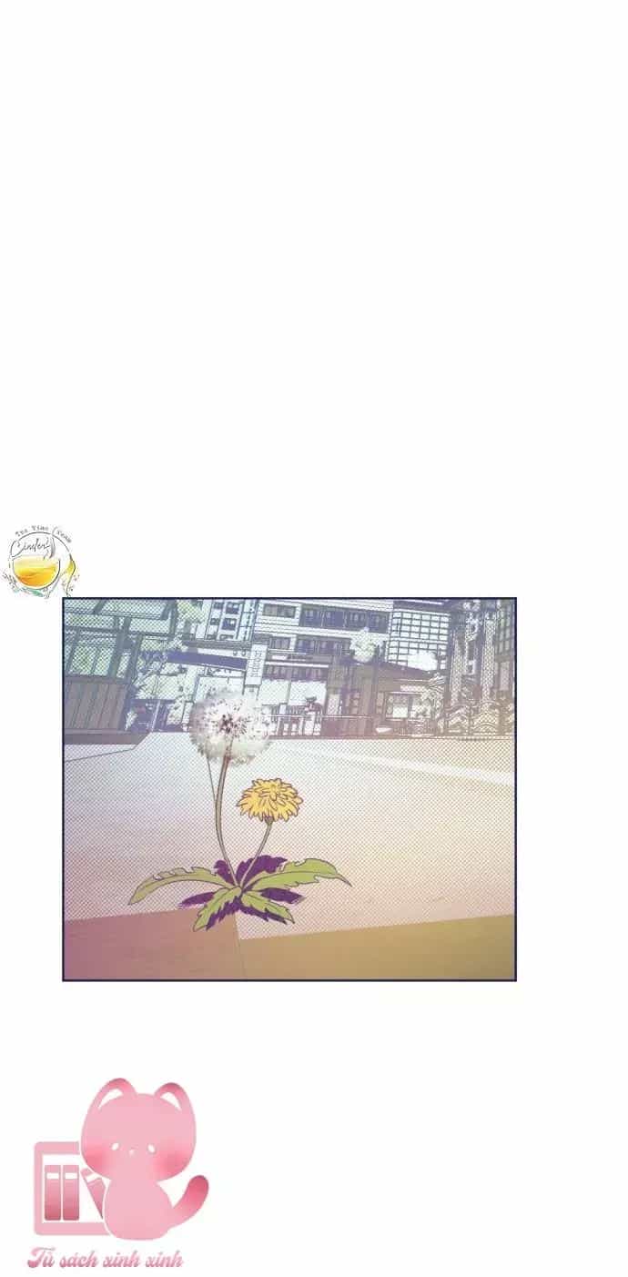 Trắc Nghiệm 4 Lựa Chọn - Chương 16 - ảnh 5