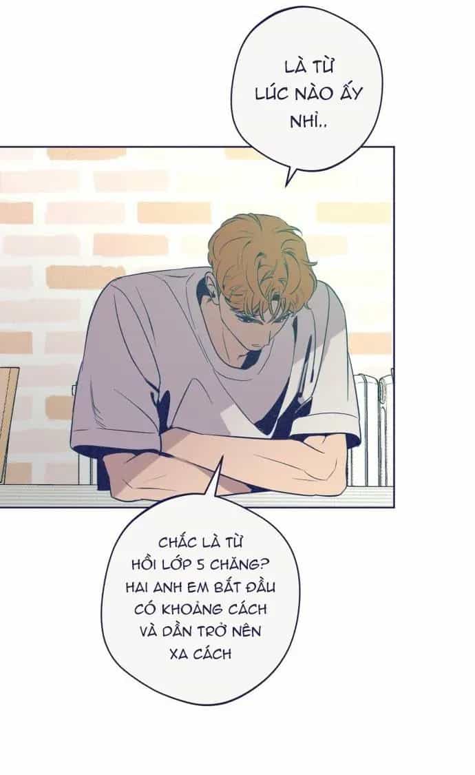 Trắc Nghiệm 4 Lựa Chọn - Chương 32 - ảnh 19