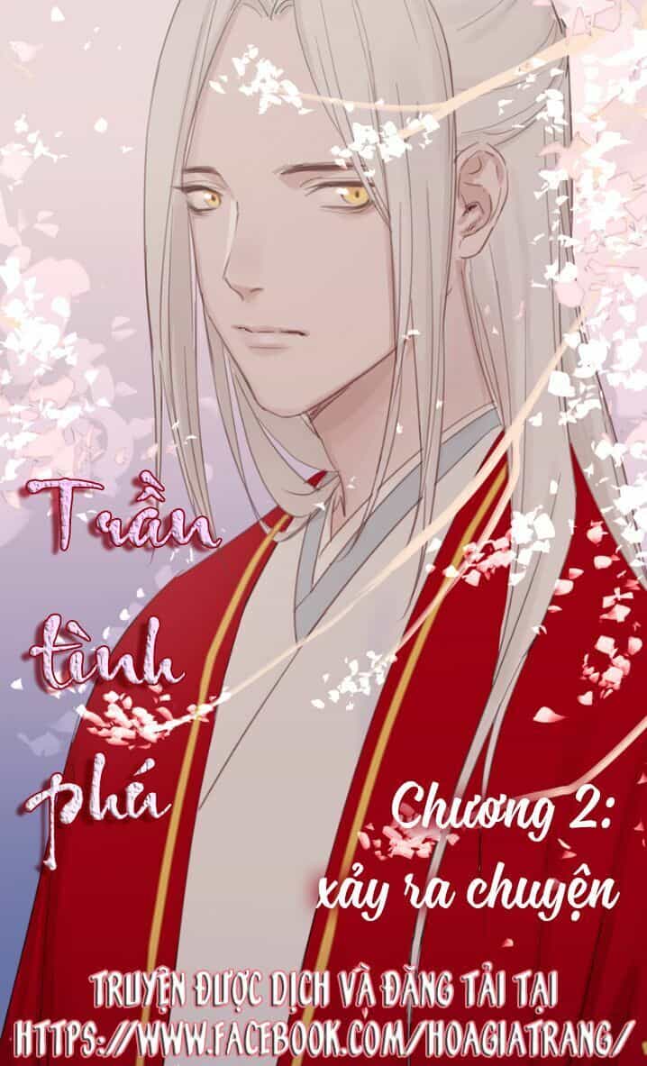 Trần Tình Phú - Chương 2 - ảnh 1