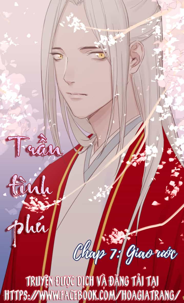 Trần Tình Phú - Chương 7 - ảnh 1