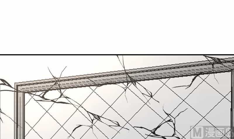 Trên Người Ta Có Một Con Rồng - Chương 286 - ảnh 20