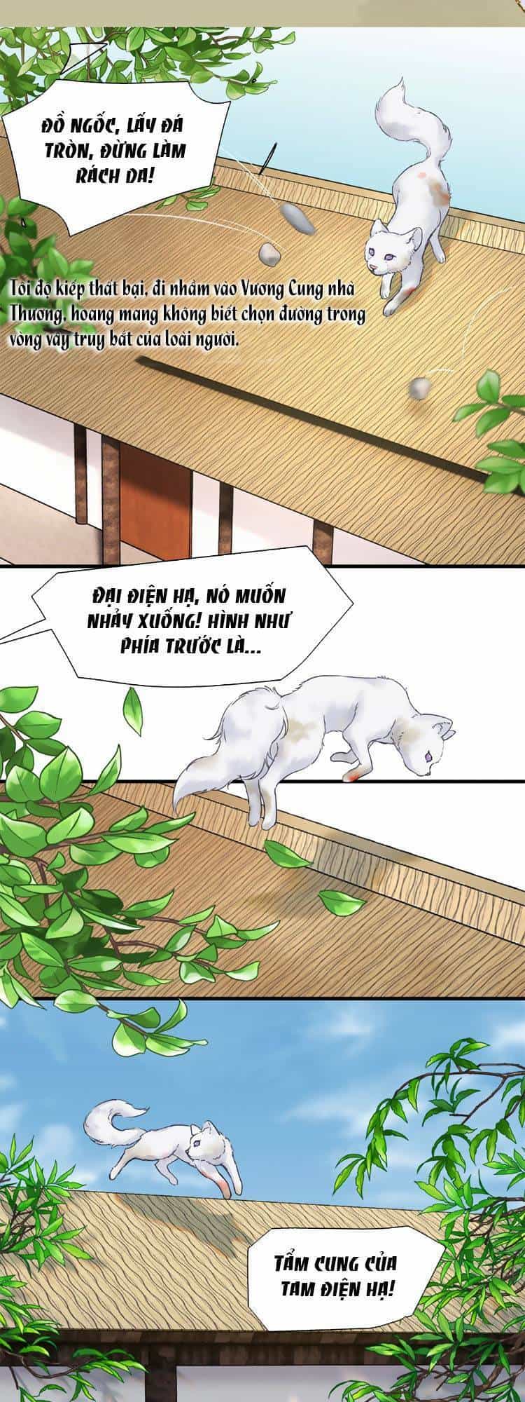 Triều Ca Vị Dĩ - Chương 1 - ảnh 8