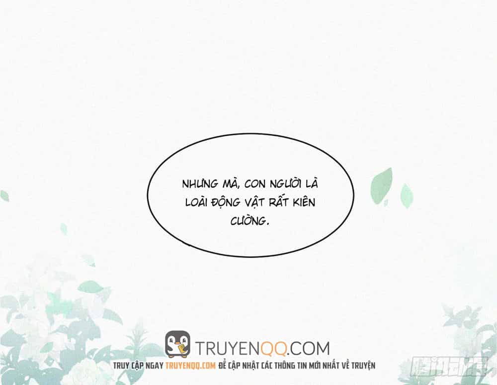 Triều Tây, Con Thích Chú - Chương 5 - ảnh 22