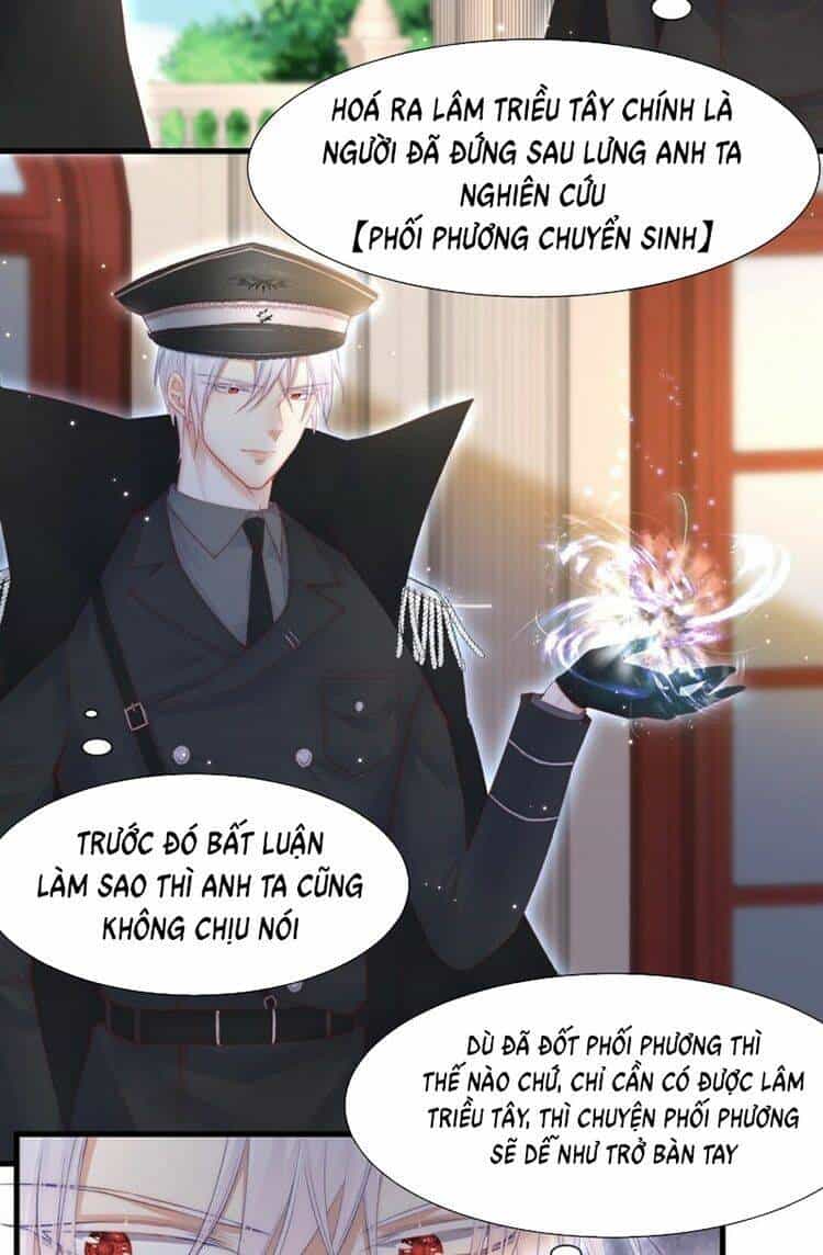 Triều Tây, Con Thích Chú - Chương 48 - ảnh 2