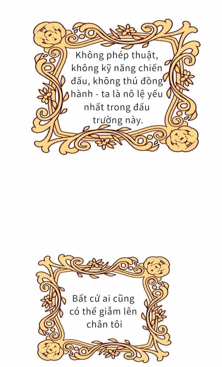 Trở Thành Đòan Sủng Về Sau, Ta Đại Sát Tứ Phương - Chương 1 - ảnh 40