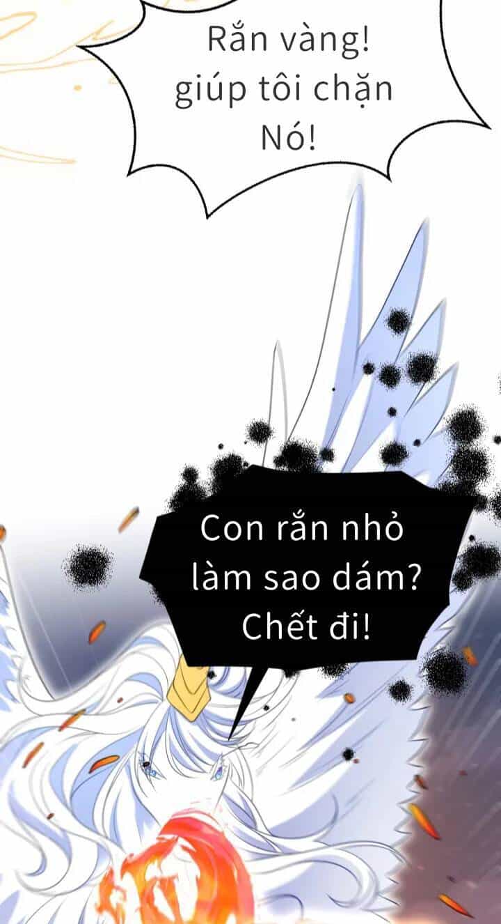 Trở Thành Đòan Sủng Về Sau, Ta Đại Sát Tứ Phương - Chương 3 - ảnh 22