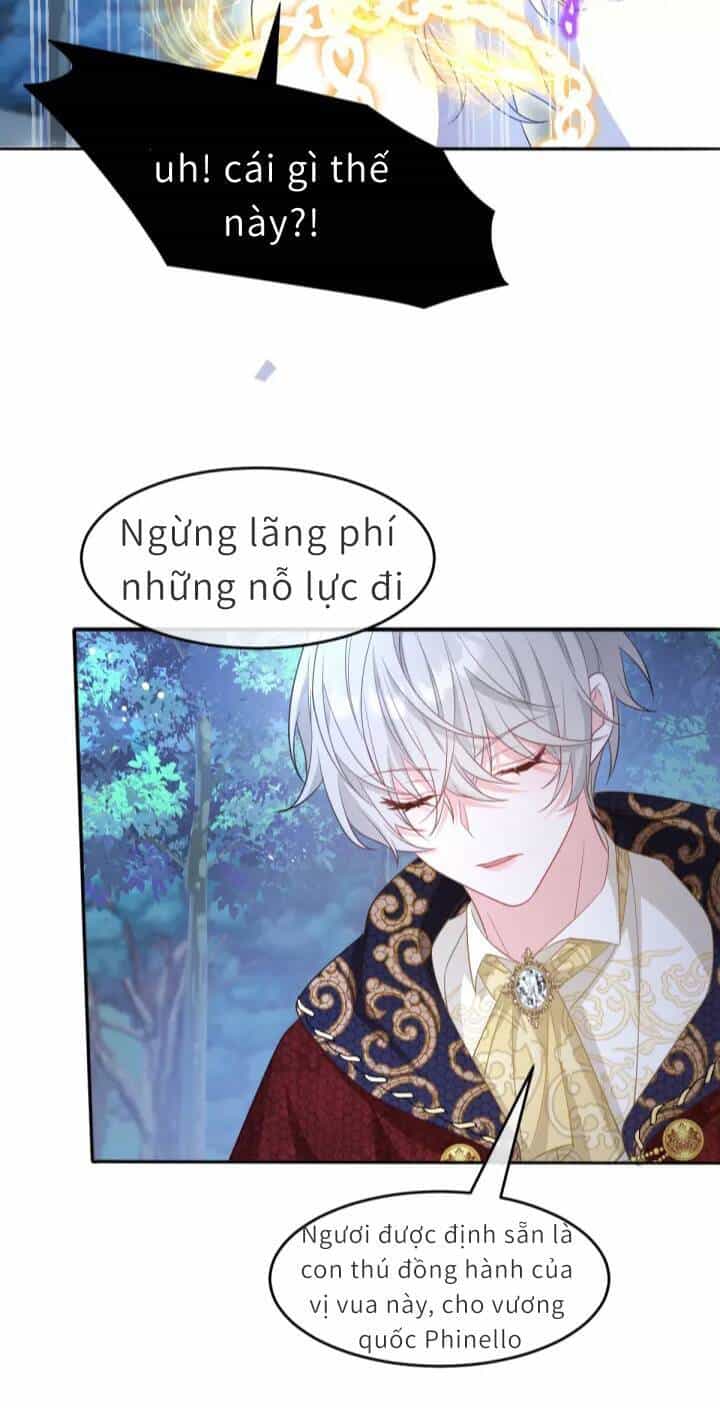 Trở Thành Đòan Sủng Về Sau, Ta Đại Sát Tứ Phương - Chương 3 - ảnh 29