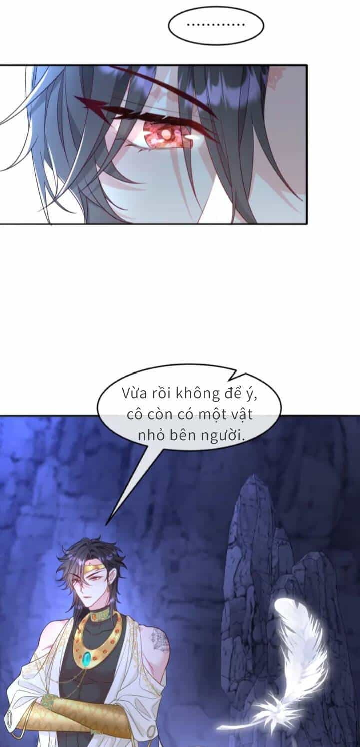 Trở Thành Đòan Sủng Về Sau, Ta Đại Sát Tứ Phương - Chương 4 - ảnh 22