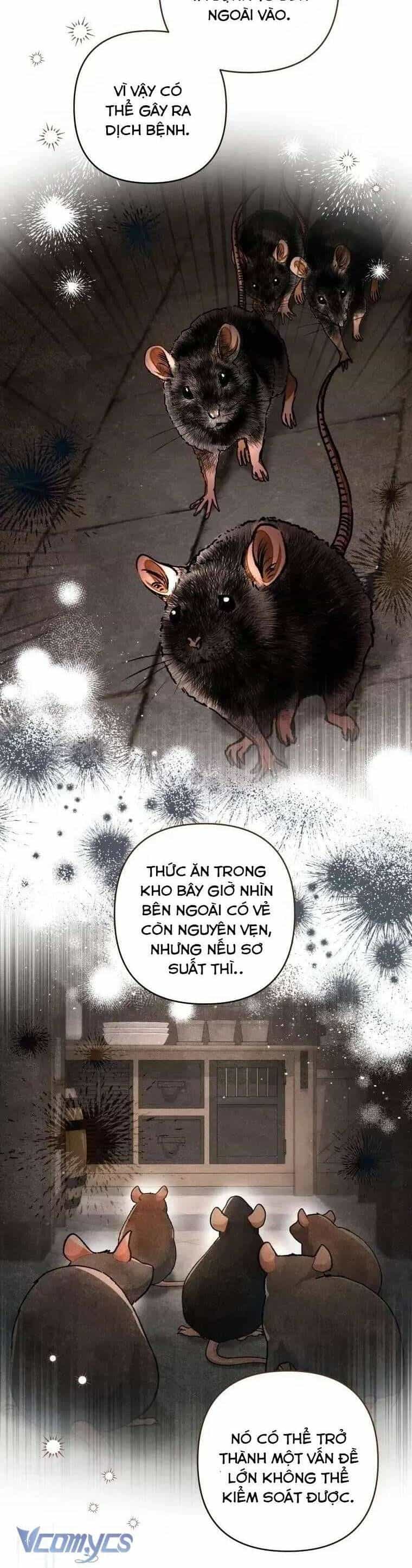 Trở Thành Hầu Gái Còn Hơn Làm Công Chúa - Chương 35 - ảnh 23