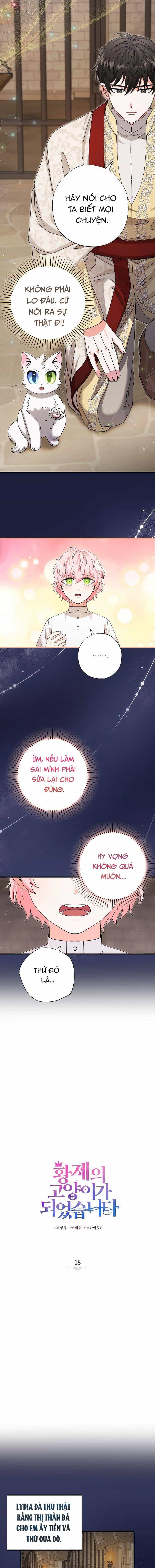Trở Thành Miêu Nữ Của Hoàng Đế - Chương 18 - ảnh 5