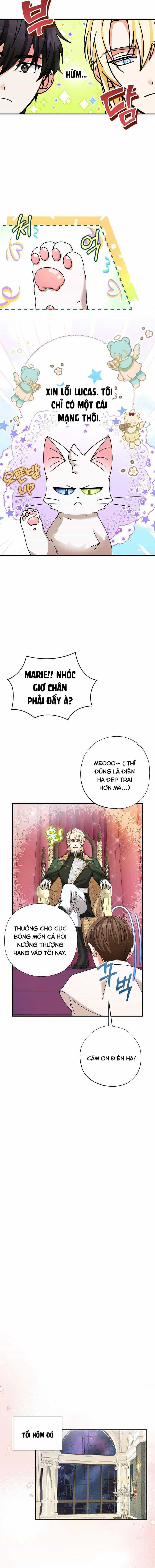 Trở Thành Miêu Nữ Của Hoàng Đế - Chương 6 - ảnh 15
