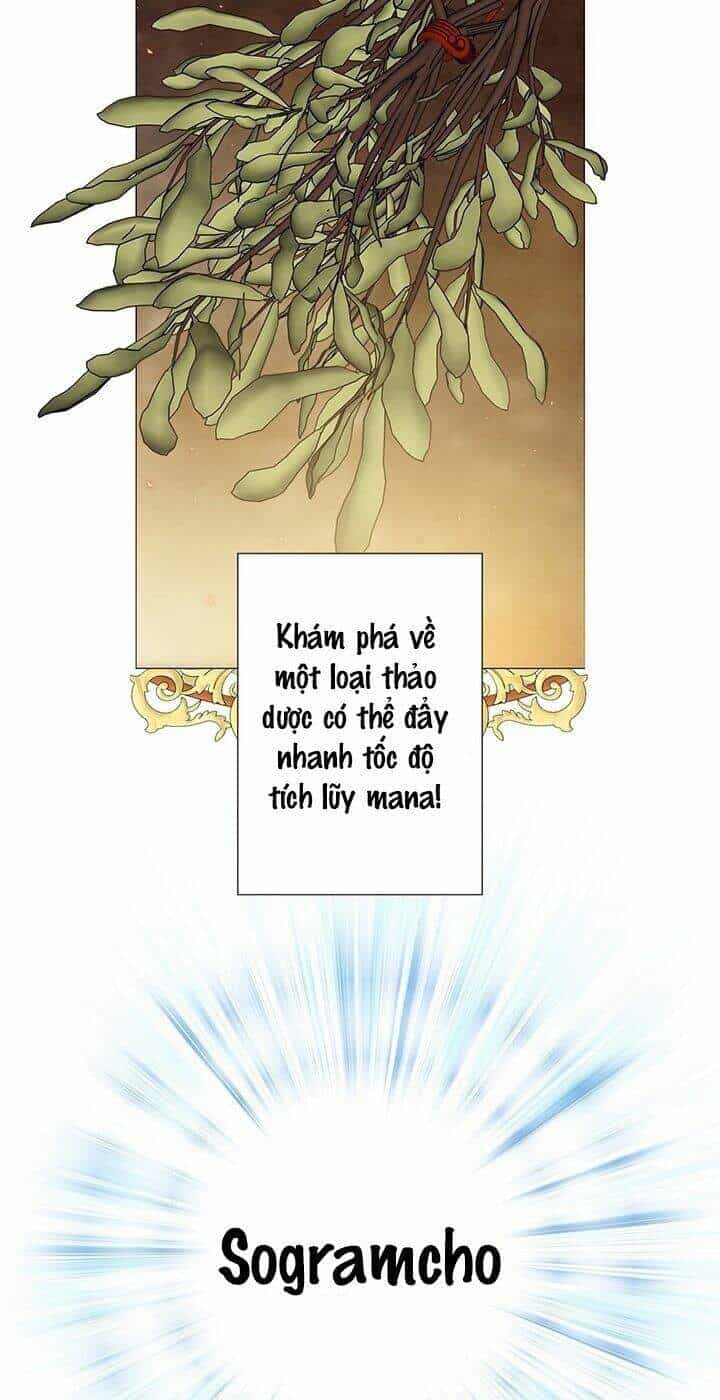 Trở Thành Tiểu Thư Xấu Xí - Chương 4 - ảnh 20