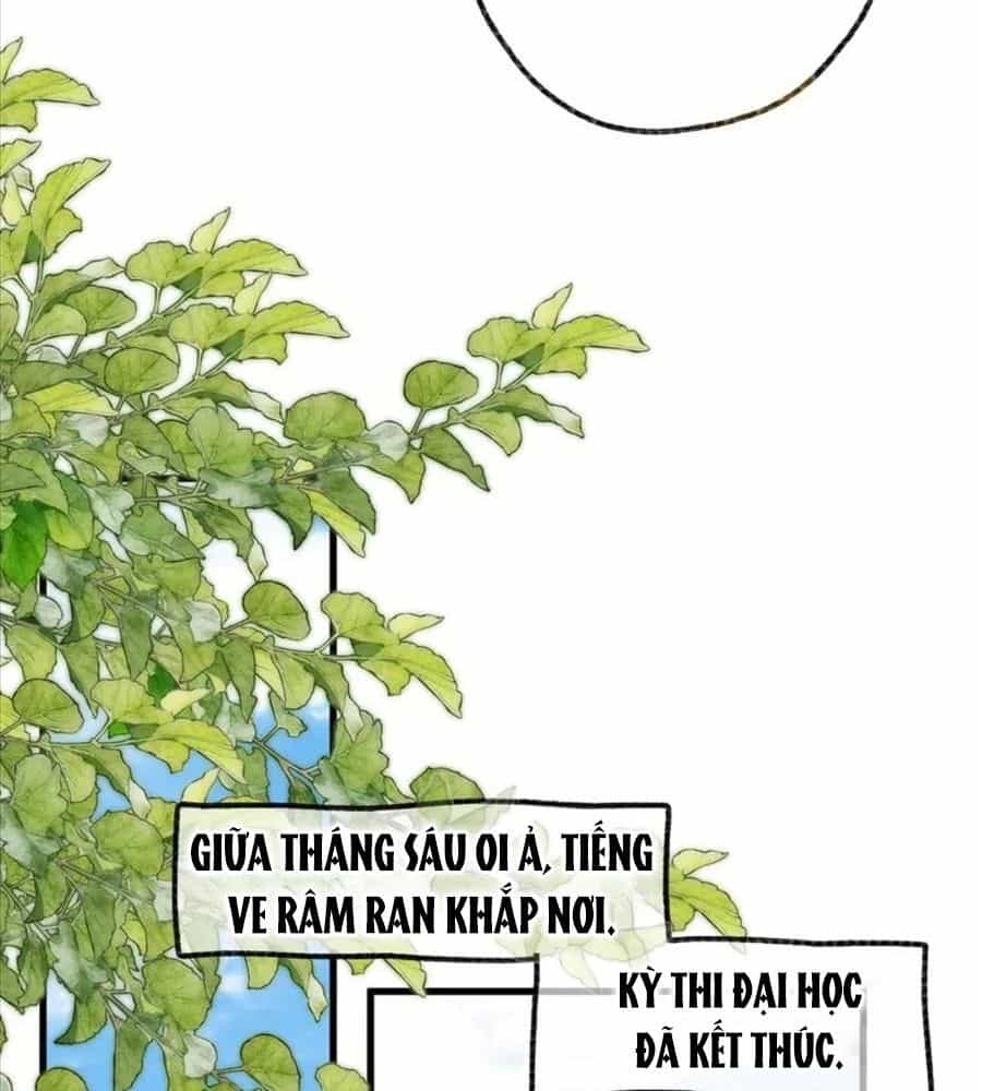 Trong Giấc Mộng Của Tôi - Chương 89 - ảnh 38