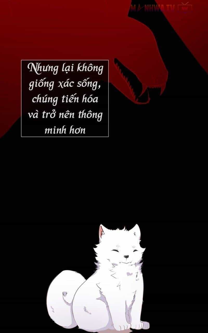 Trọng Sinh Mạc Thế - Chương 13 - ảnh 14