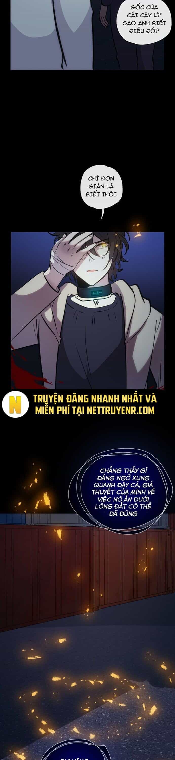 Trọng Sinh Mạc Thế - Chương 146 - ảnh 5