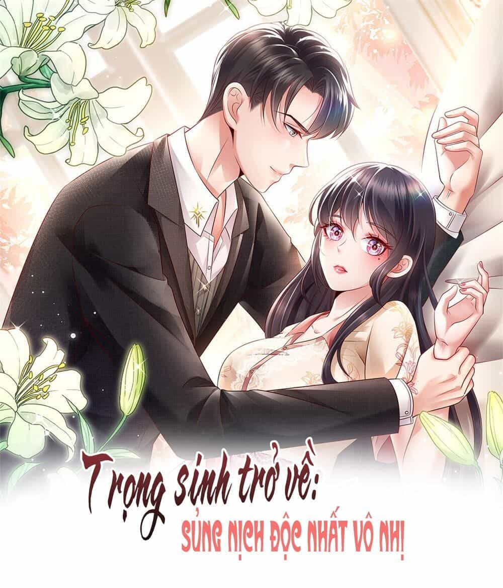 Trọng Sinh Trở Lại: Sủng Nịch Độc Nhất Vô Nhị - Chương 2 - ảnh 1