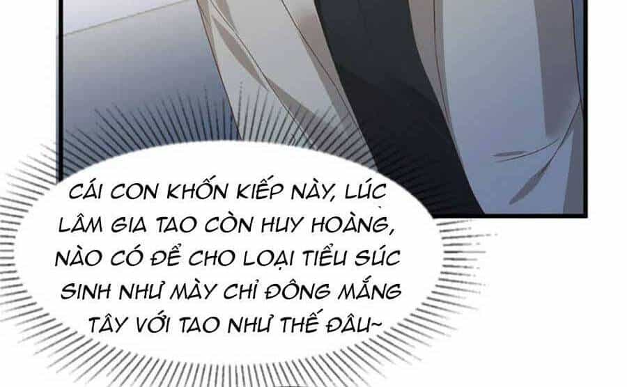 Trọng Sinh Trở Lại: Sủng Nịch Độc Nhất Vô Nhị - Chương 205 - ảnh 6