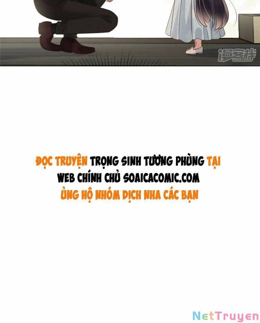 Trọng Sinh Trở Lại: Sủng Nịch Độc Nhất Vô Nhị - Chương 215 - ảnh 17